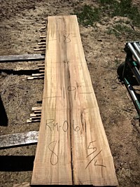 Red Maple | Legendary PA Hardwoods